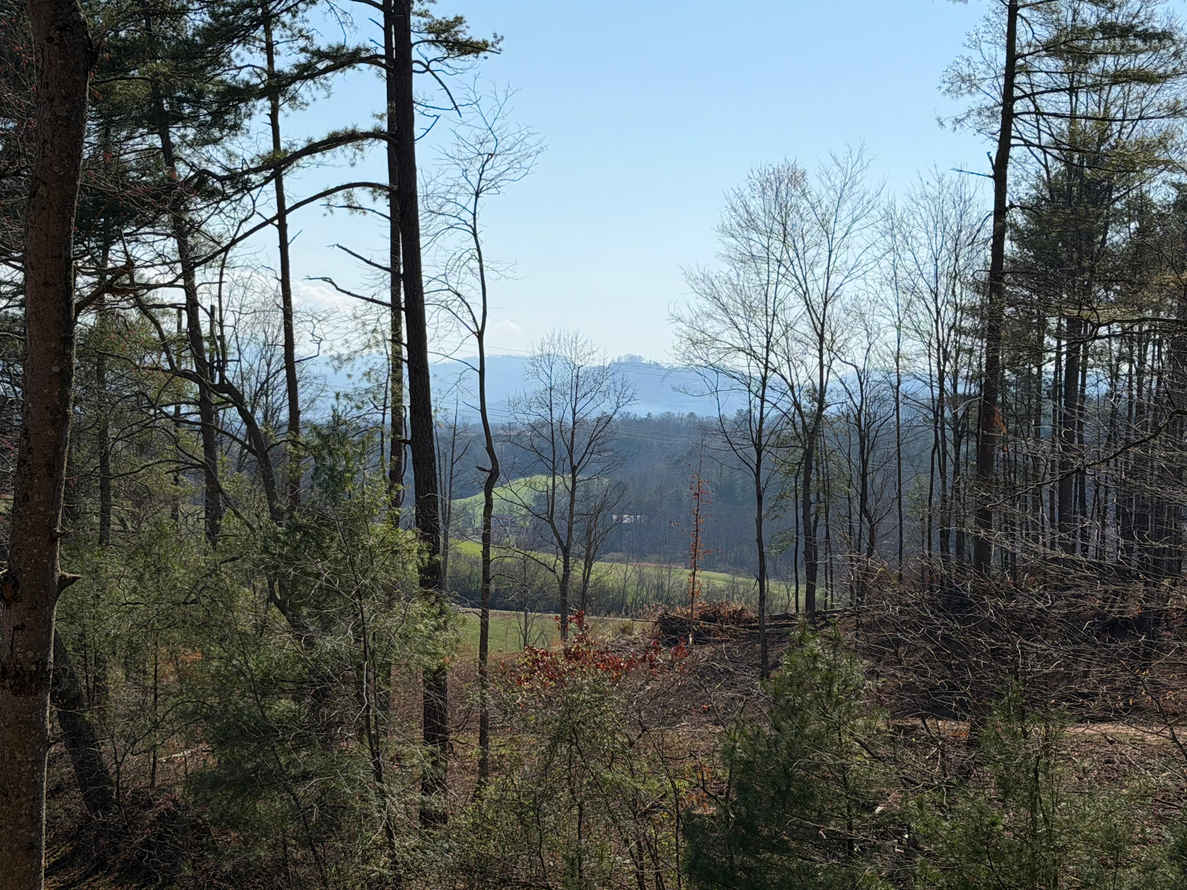 mountain view off front porch 