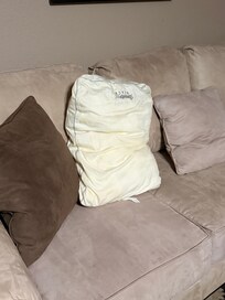 Pillows without case in master bedroom