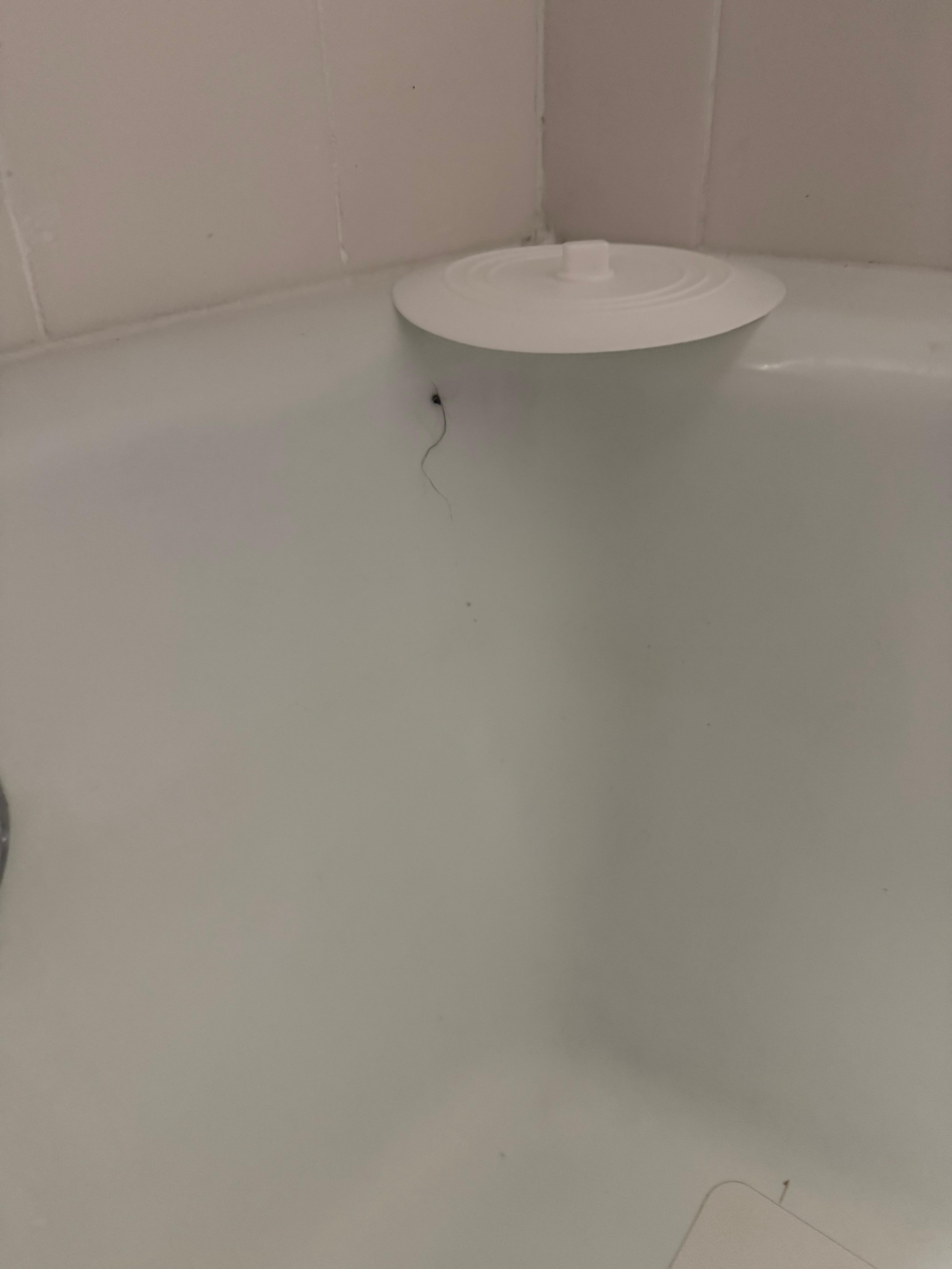 Hair on side of tub and under plug