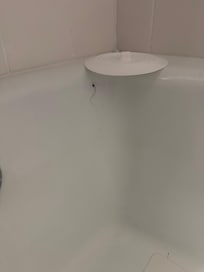 Hair on side of tub and under plug