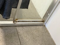 Shower screen