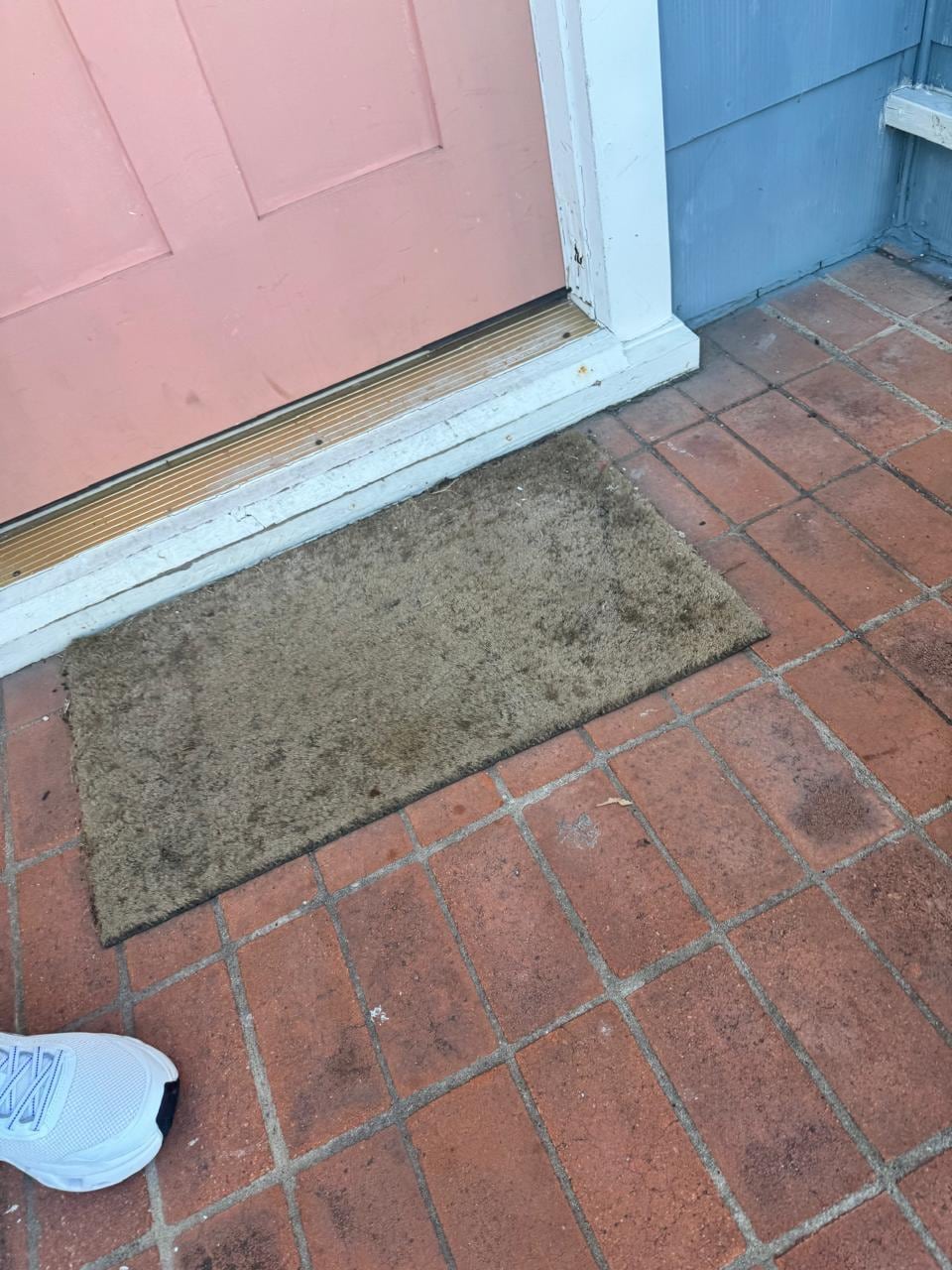 El recibimiento , con este tapete viejo sucio,