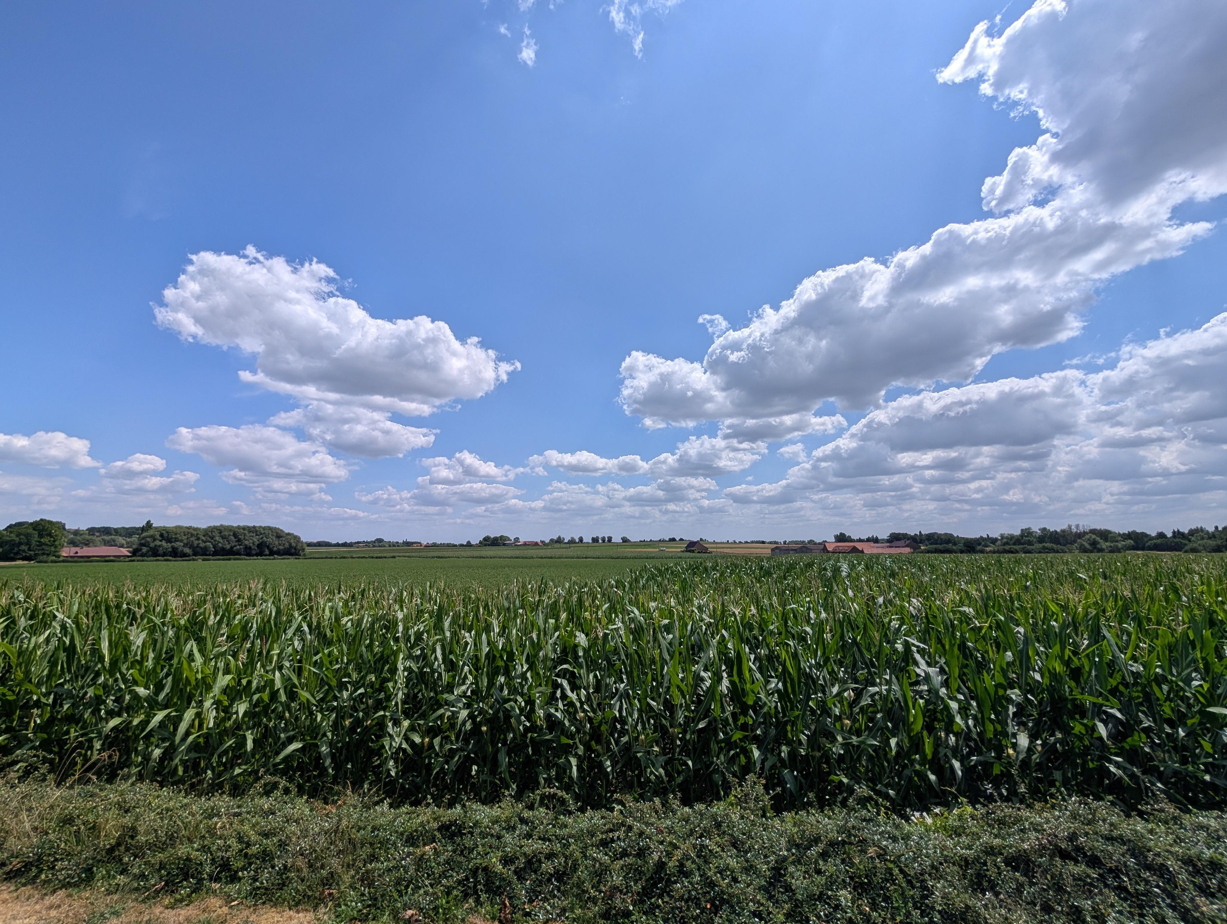 View from the garden is amazing