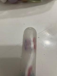 Ants in hall bath on toothbrush holder