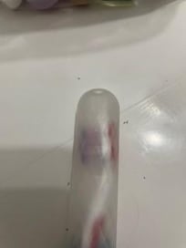 Ants in hall bath on toothbrush holder