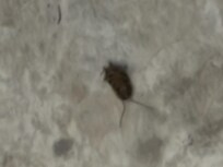 We were visiting our son who plays junior hockey in Monroe LA. Alot of his teammates stopped by to say hello and his lovely girlfriend stayed with us. What an embarrassment to our guests.