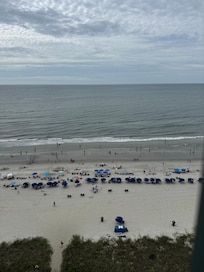 View from the patio