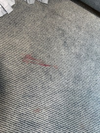 Blood stain?