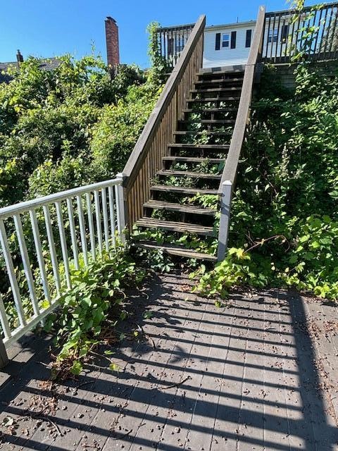 Vines and prickers growing across stairs