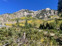 Fall Colors