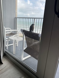 We had a new friend! A bird!