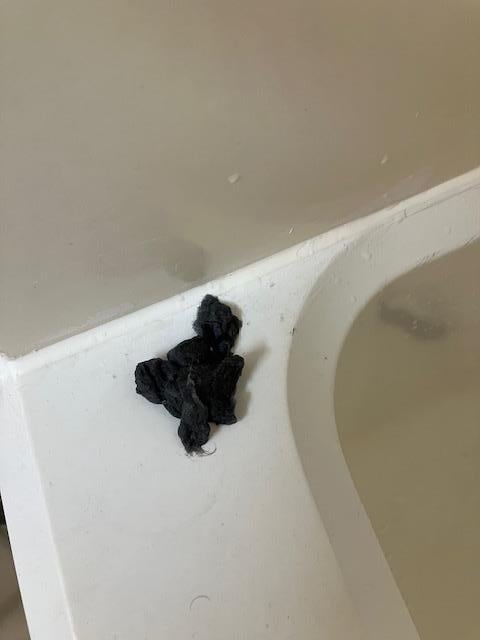 Crud after cleaning out the tub