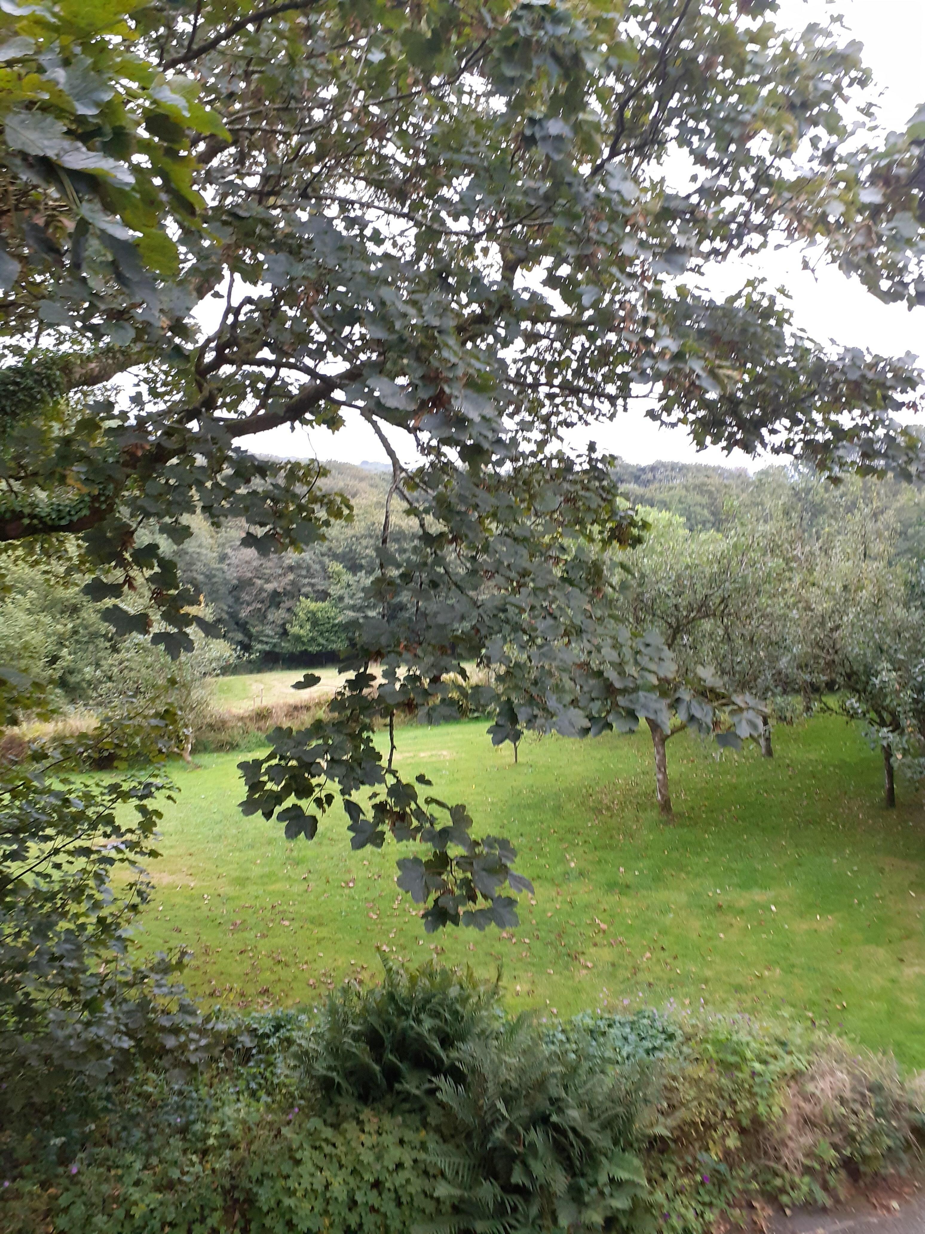 View from our bedroom window.