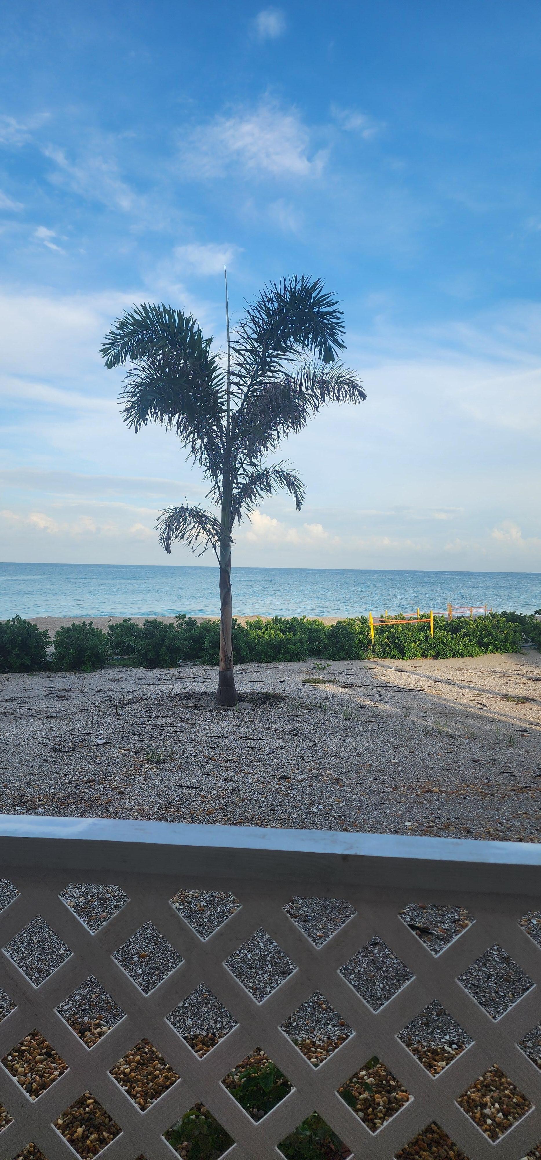 Morning view paradise 