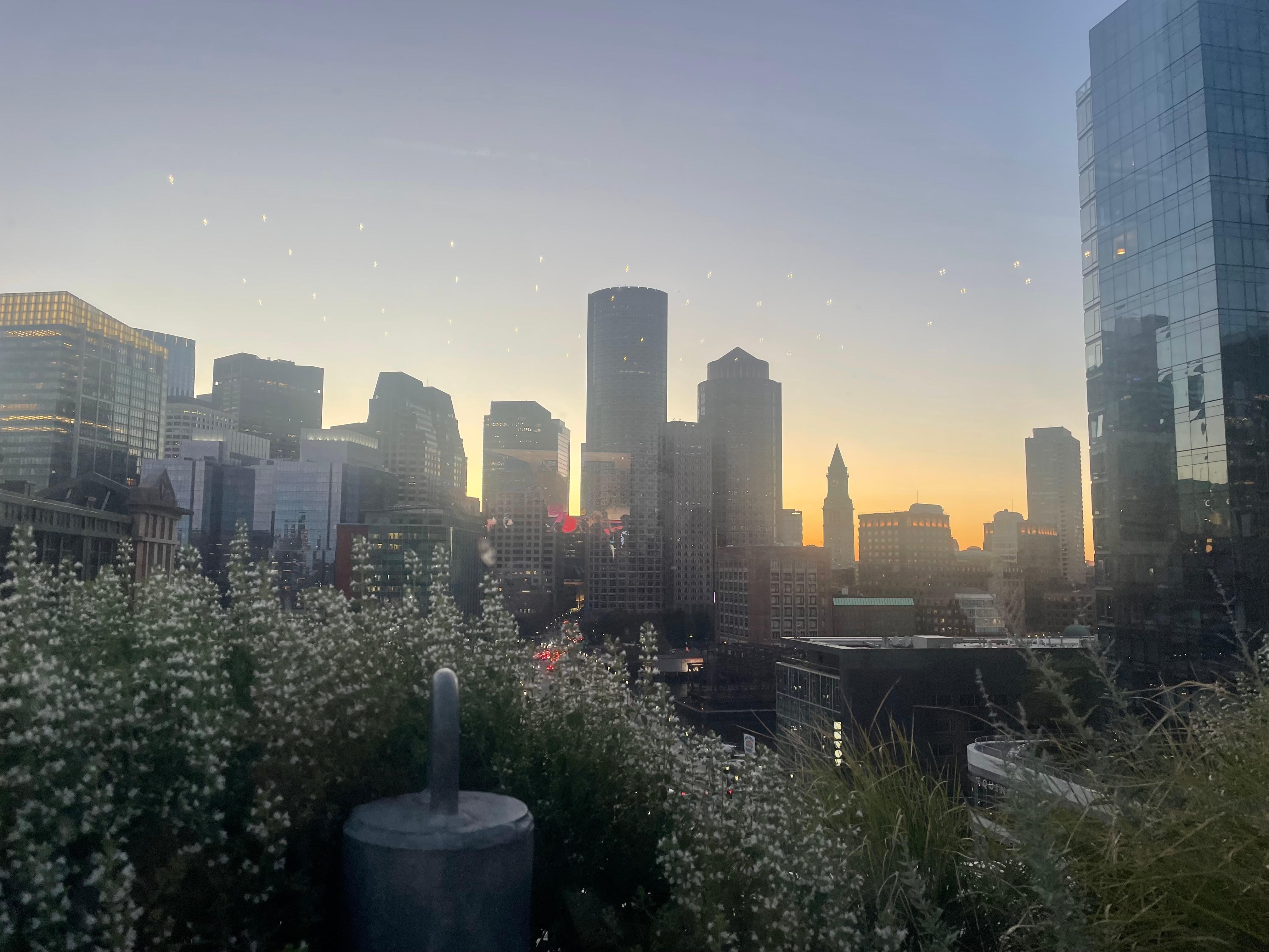Lovely sunset from rooftop restaurant.