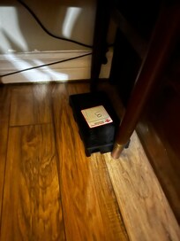 Mouse trap. I didn’t check to see if it was full or not.
