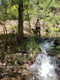 Horton Creek