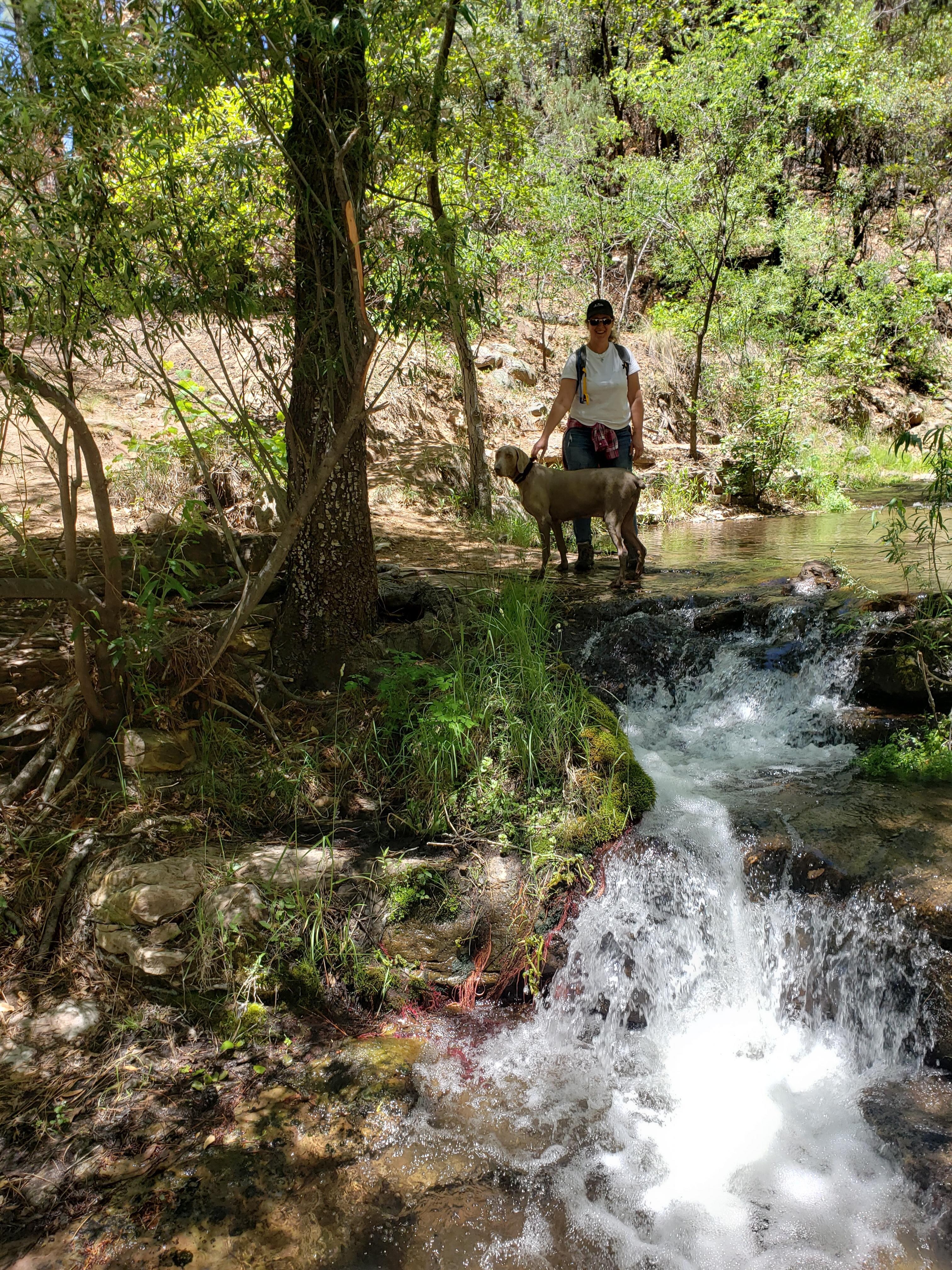 Horton Creek