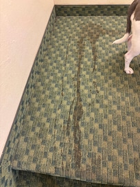 Stained stairwell