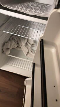 Moldy fridge with a moldy towel