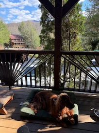 Everyone, especially Arthur enjoyed the spacious porch.