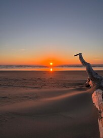 Sunset on the beach just a minute walk from back door of the house.