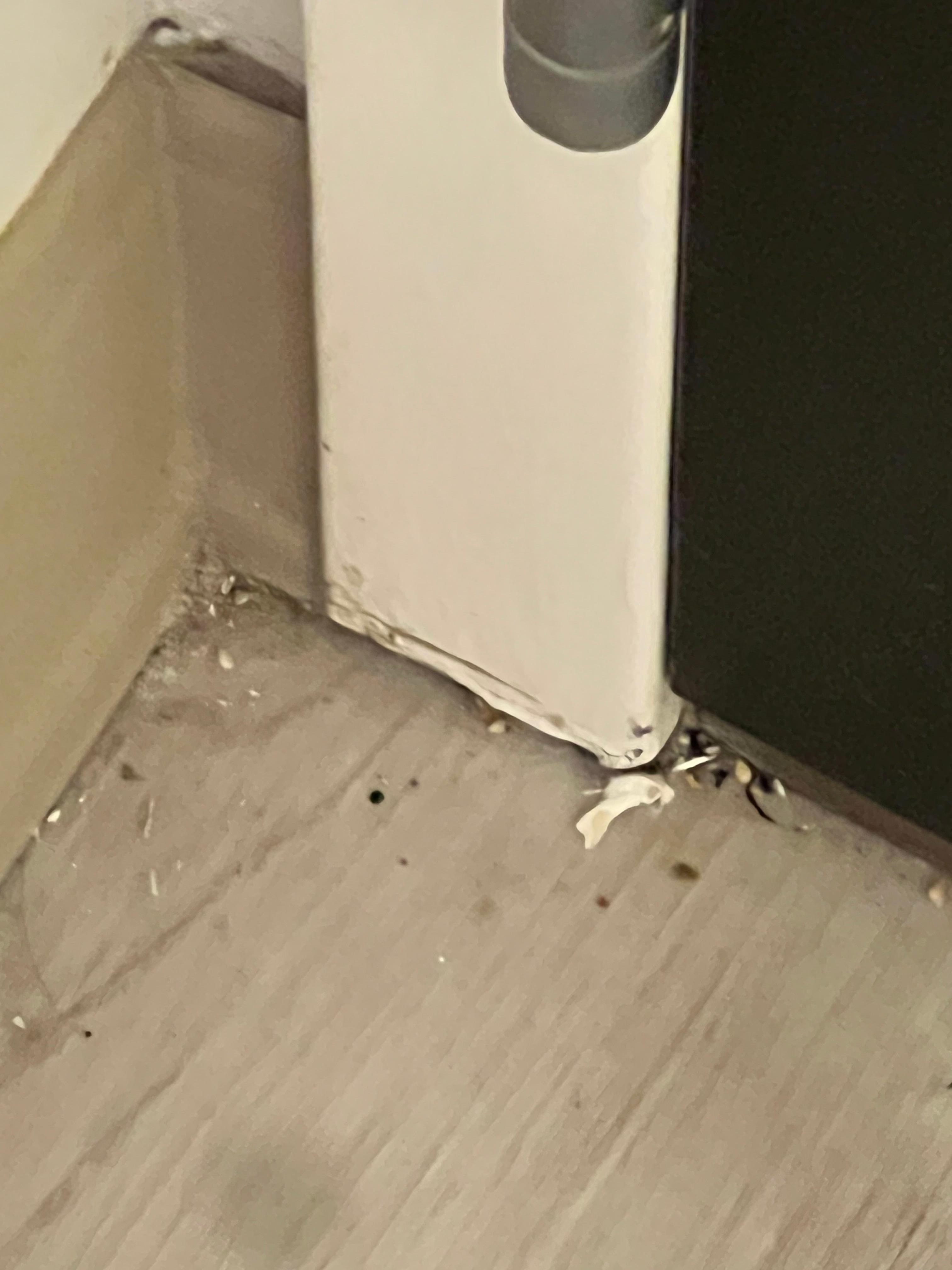 Dirty floors - obvious they didn’t clean after reporting the glass!