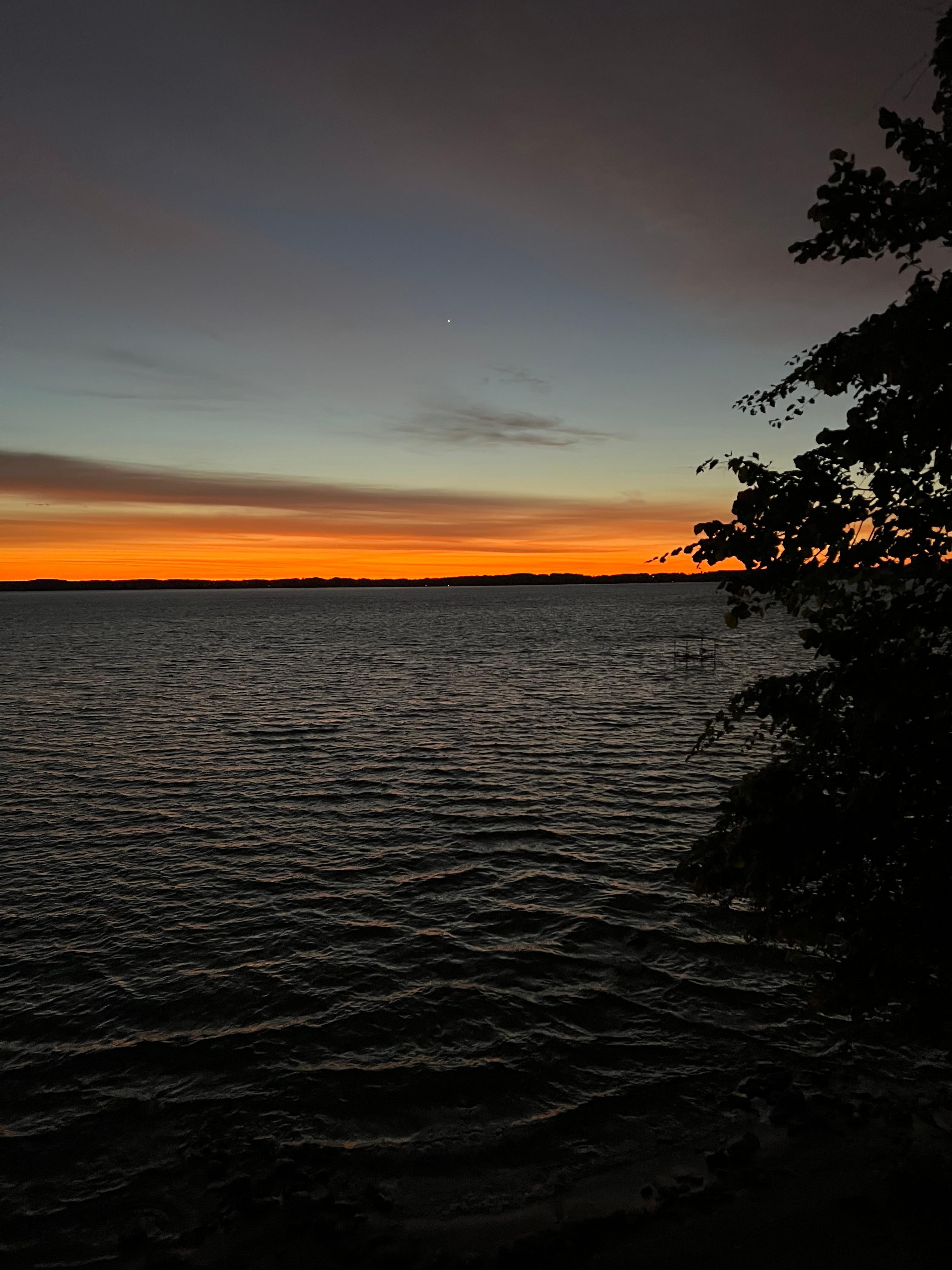 The vote from the back deck.