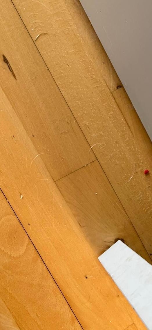 Hair on the floor