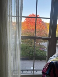 My room view