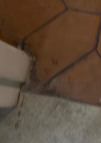 Floor Tile