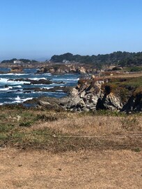 The coast from The Botanical Gardens walk