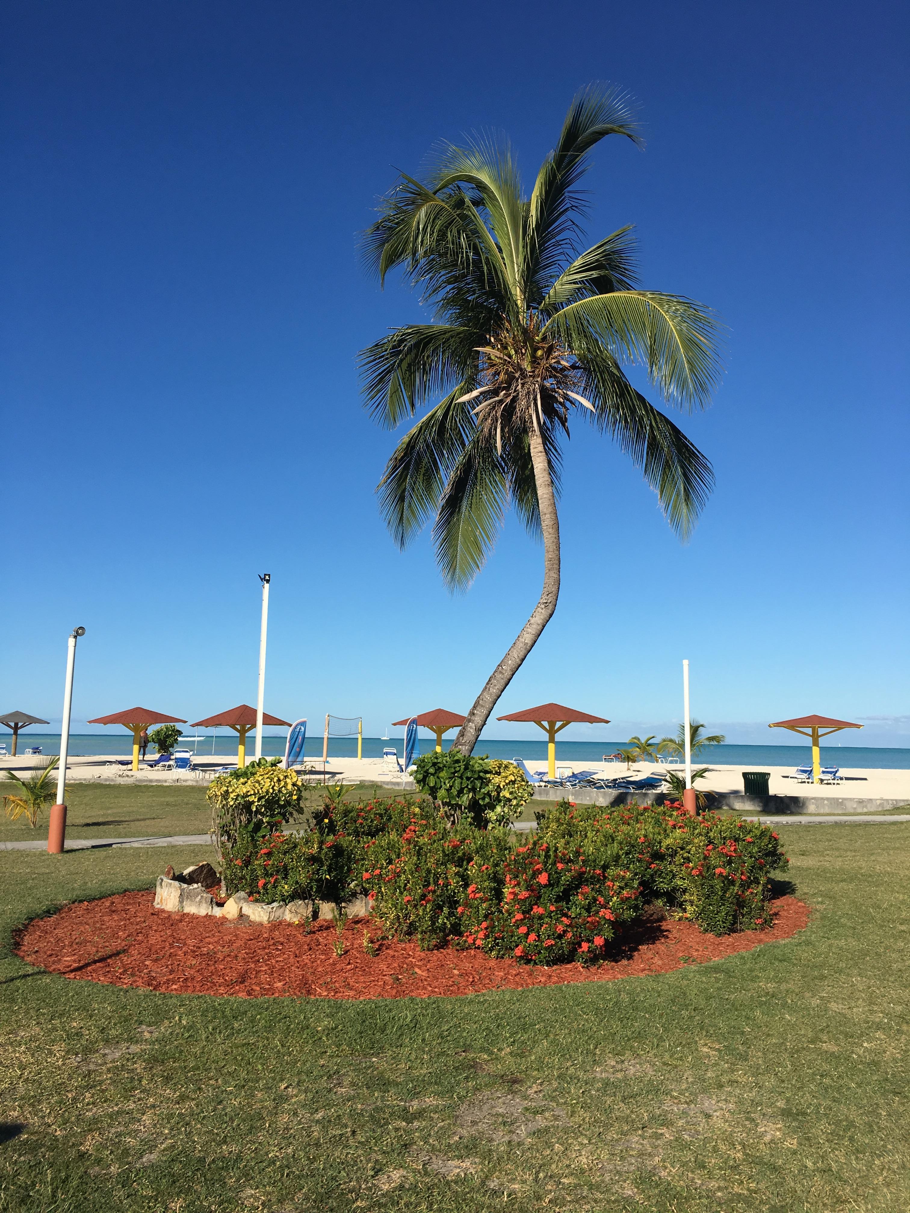 Starfish Jolly Beach Resort All Inclusive Jolly Harbour