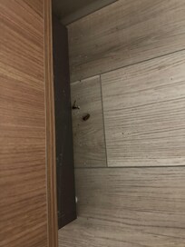 first room dead bugs