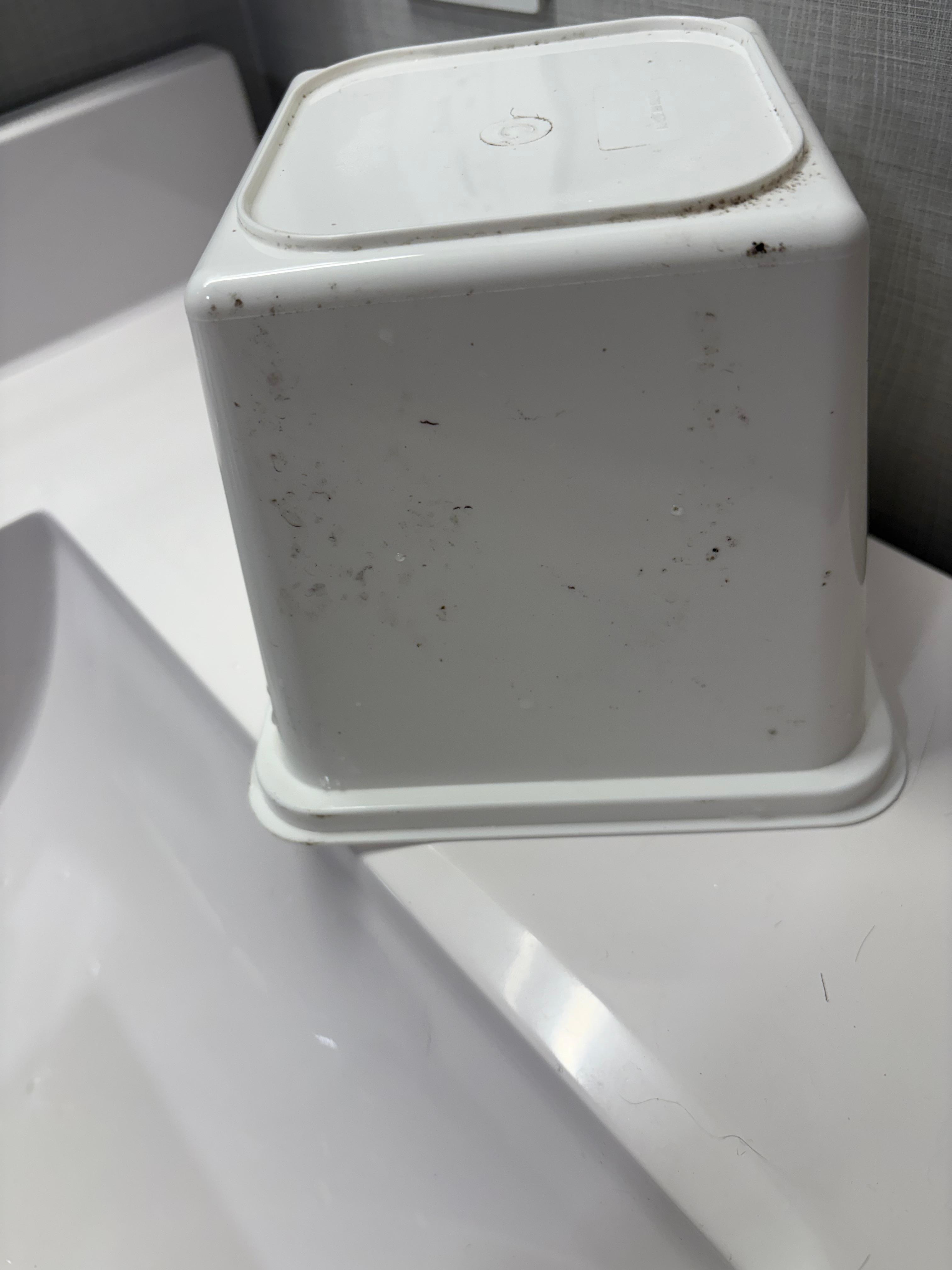 Mold