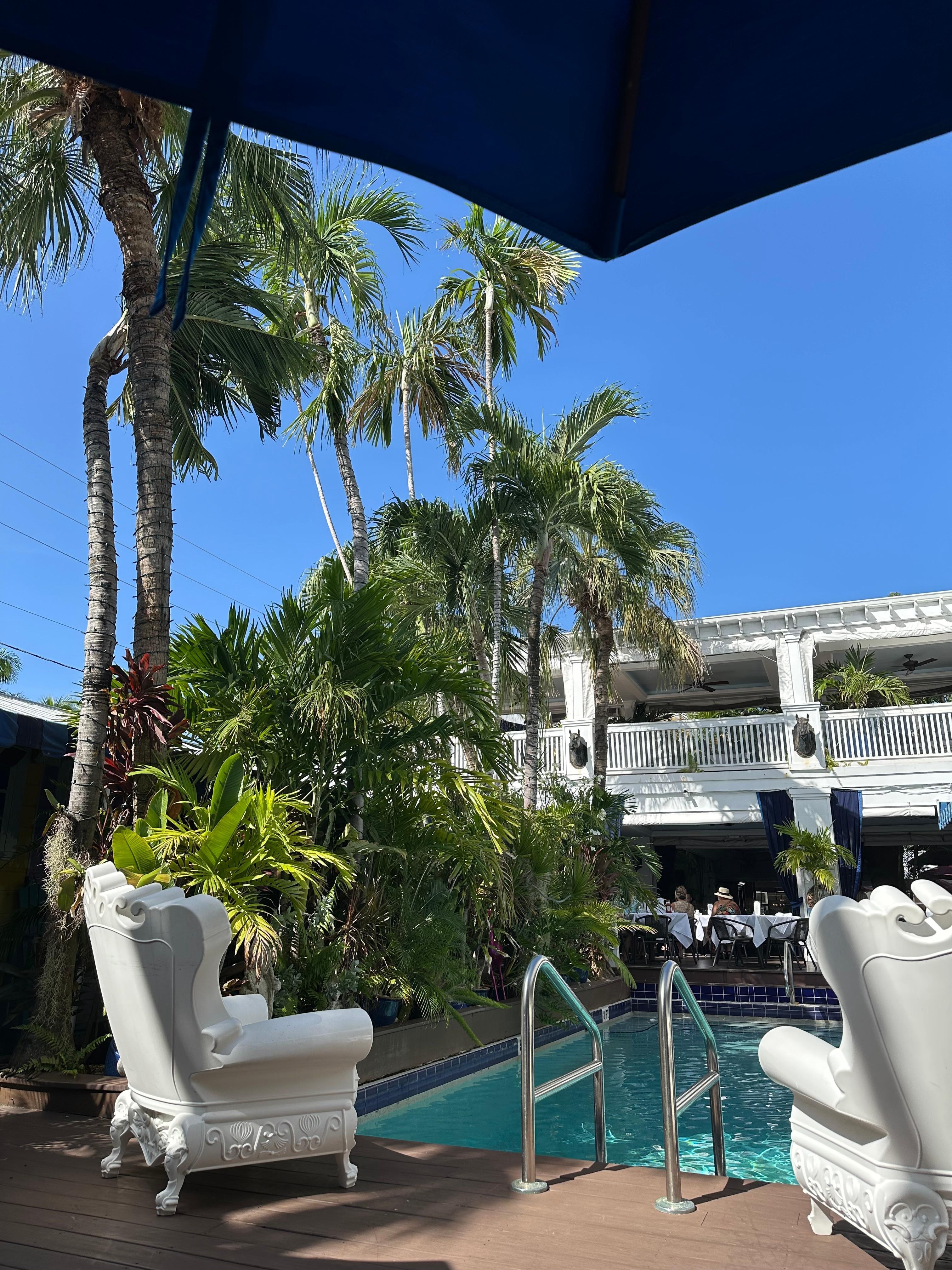 Pool view from loungers 
