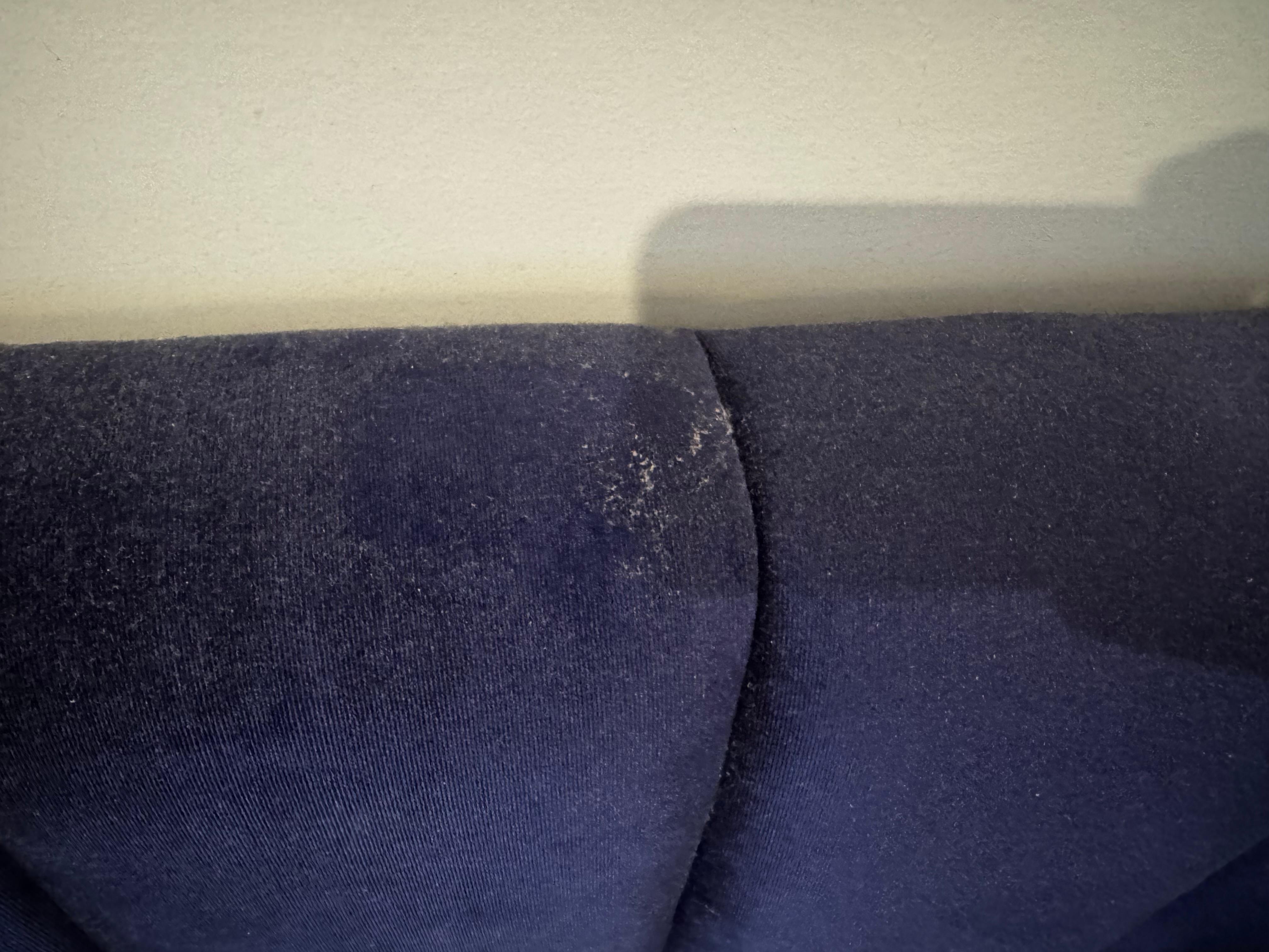 A long time between last proper dust / clean