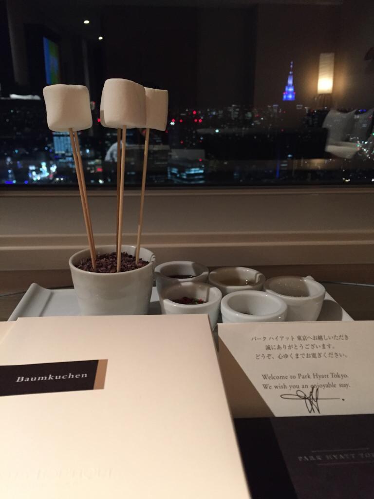 Park Hyatt Tokyo Accommodations