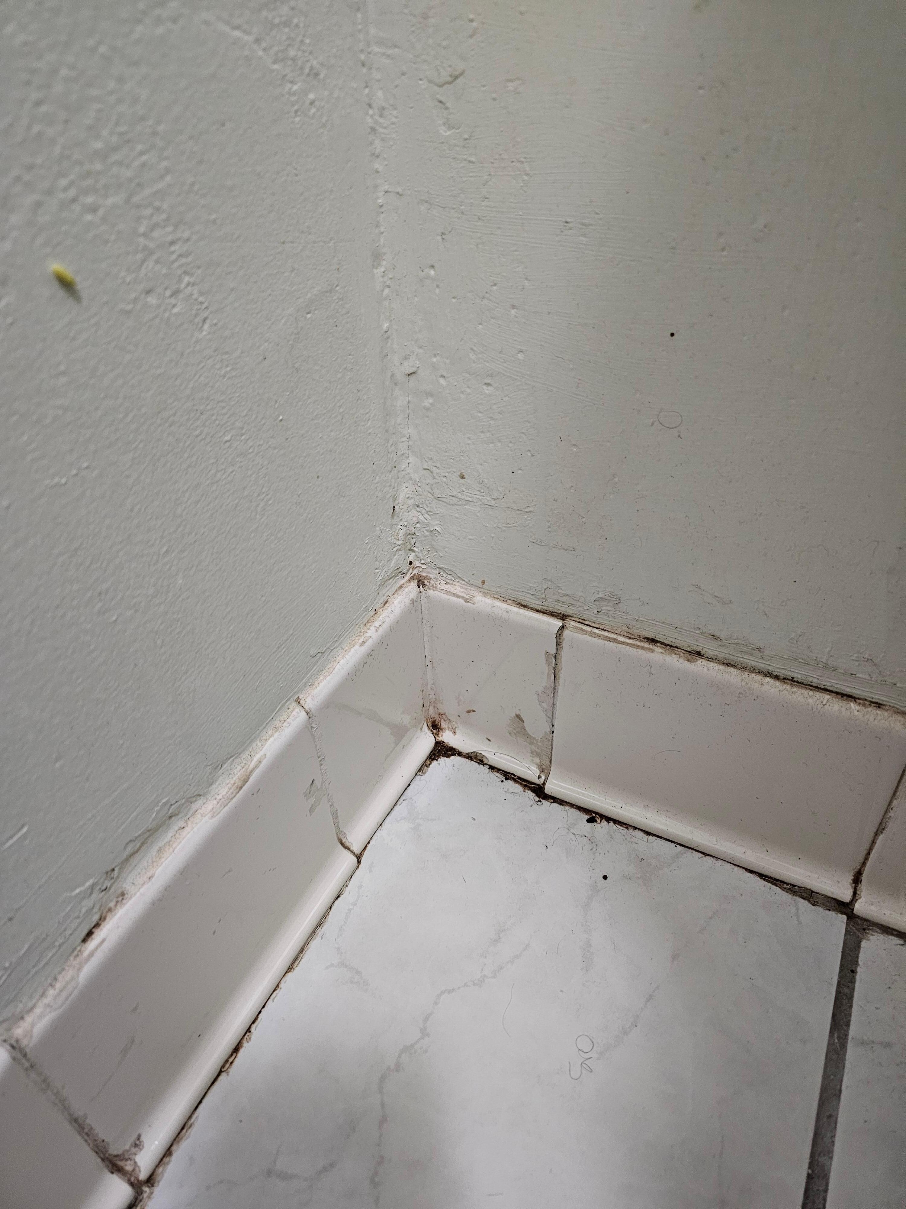 Gunk in bathroom