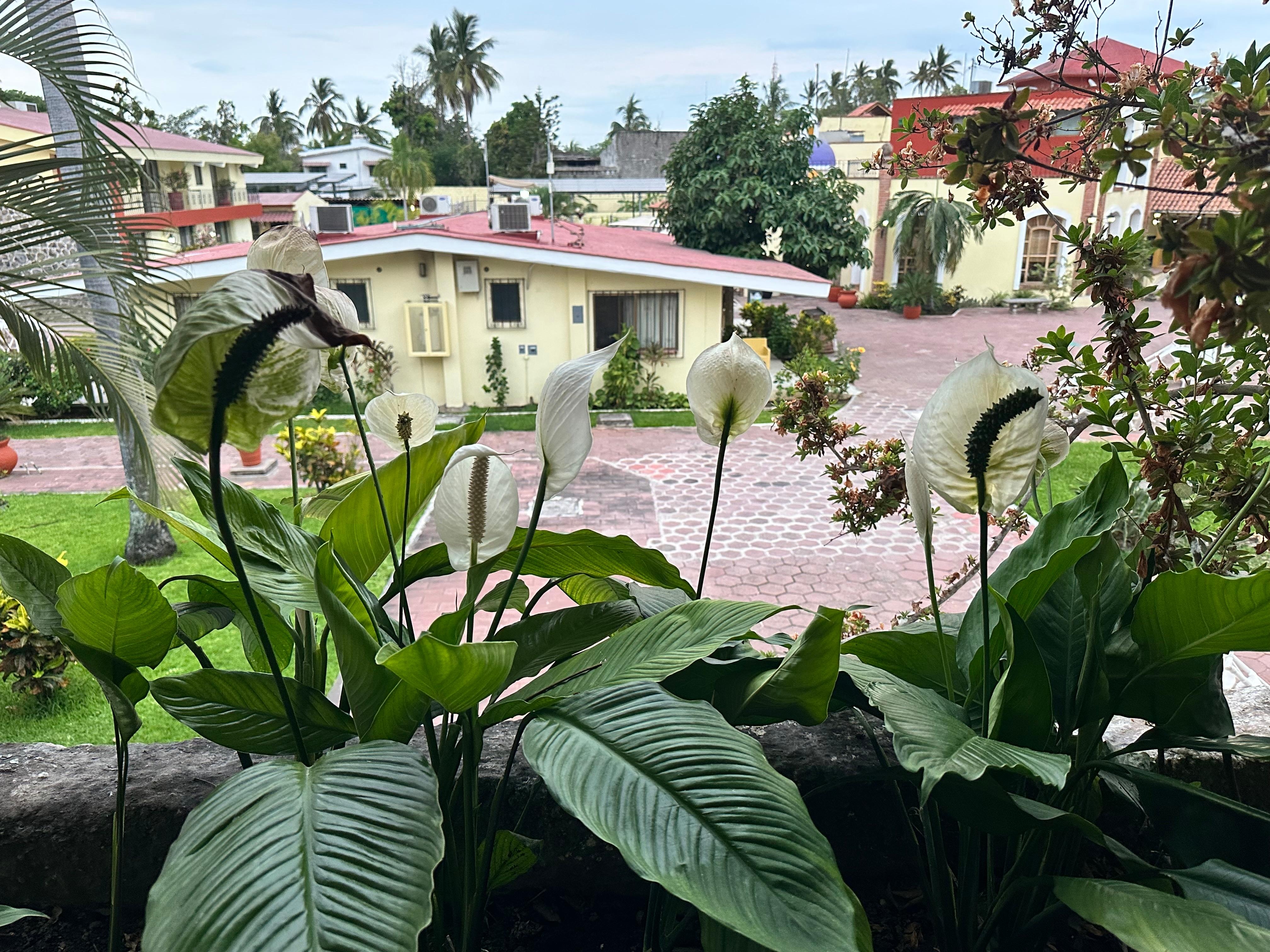 Another front door view