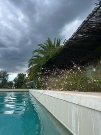 Fabulous pool