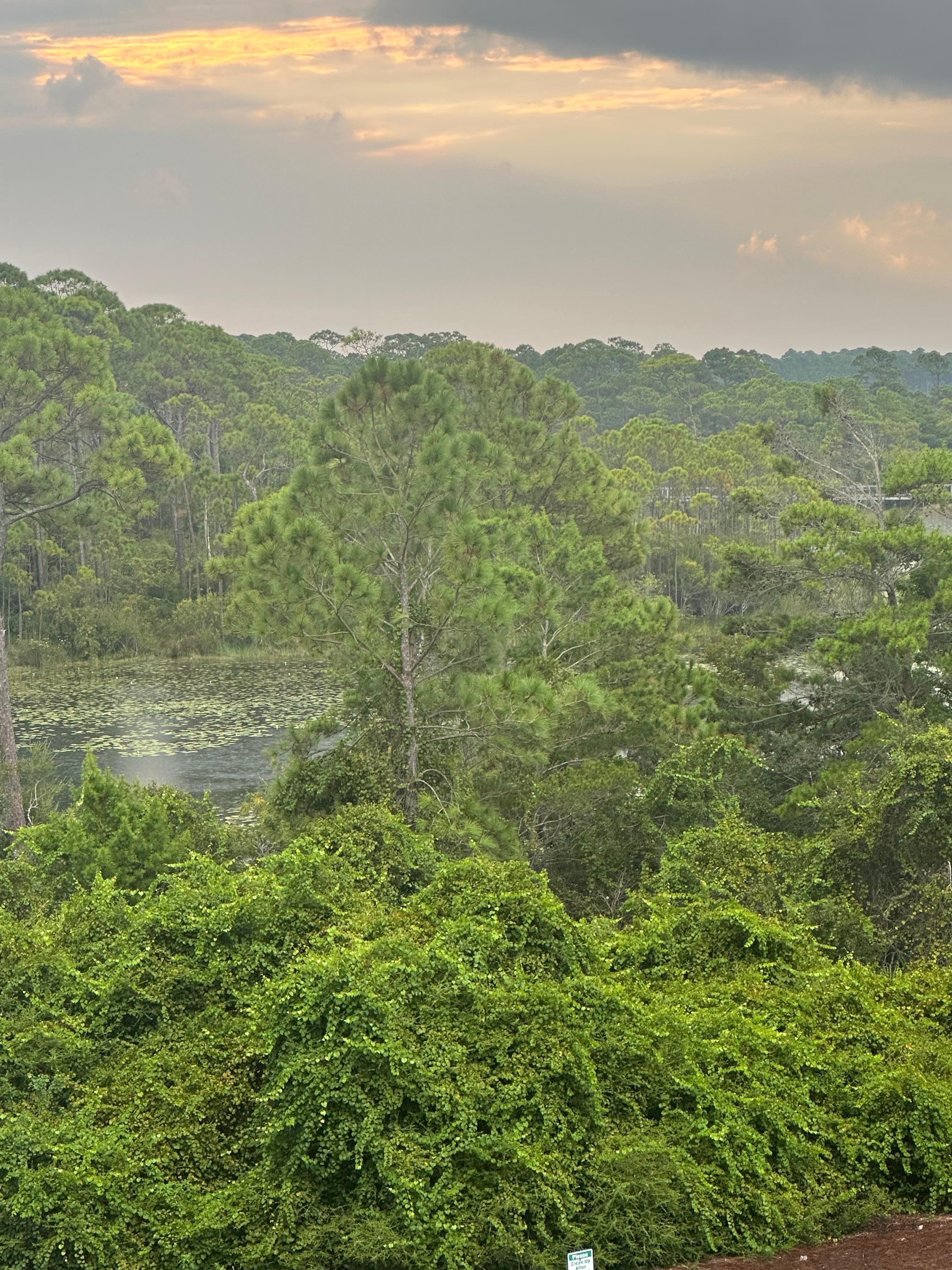 View to the left of balcony