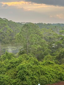 View to the left of balcony