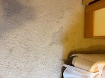 Upstairs bedroom carpet