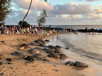 Poipu Beach Everyday!