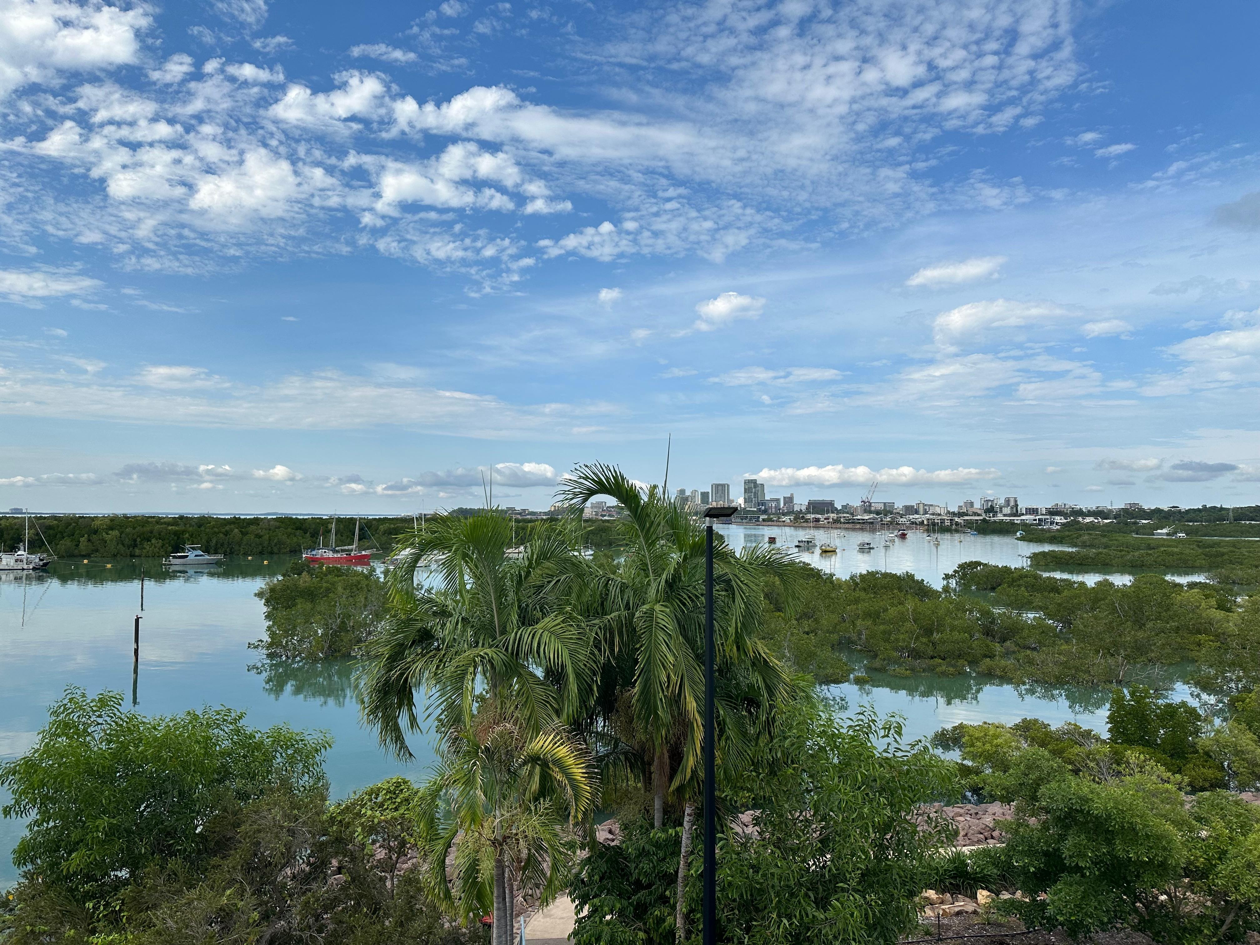 Mangoes and bay from the balcony 