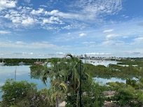 Mangoes and bay from the balcony