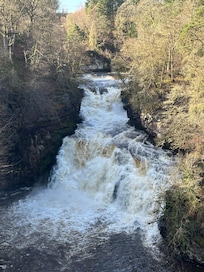 Falls of the Clyde river walk.