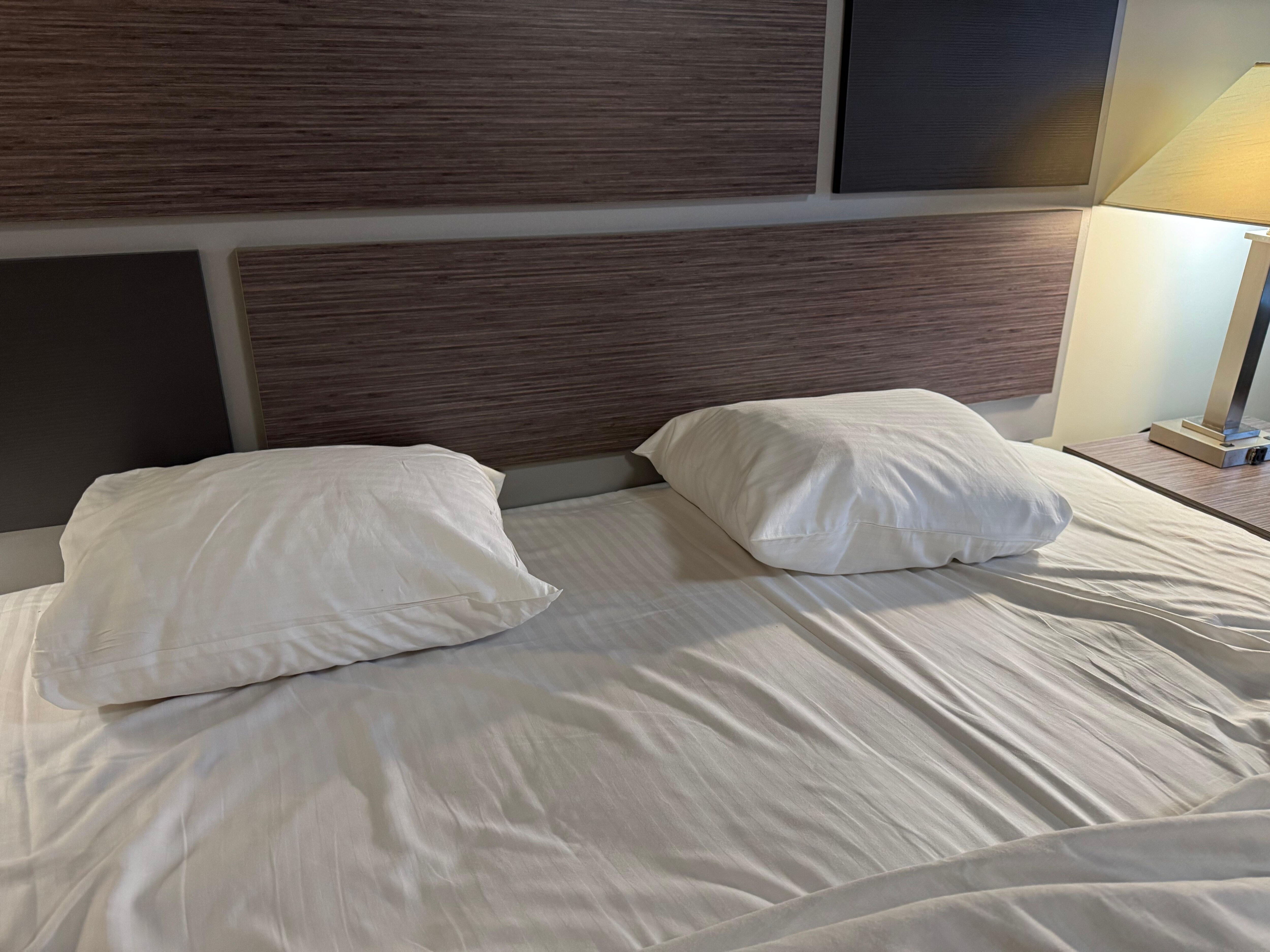 2 very small uncomfortable pillows.