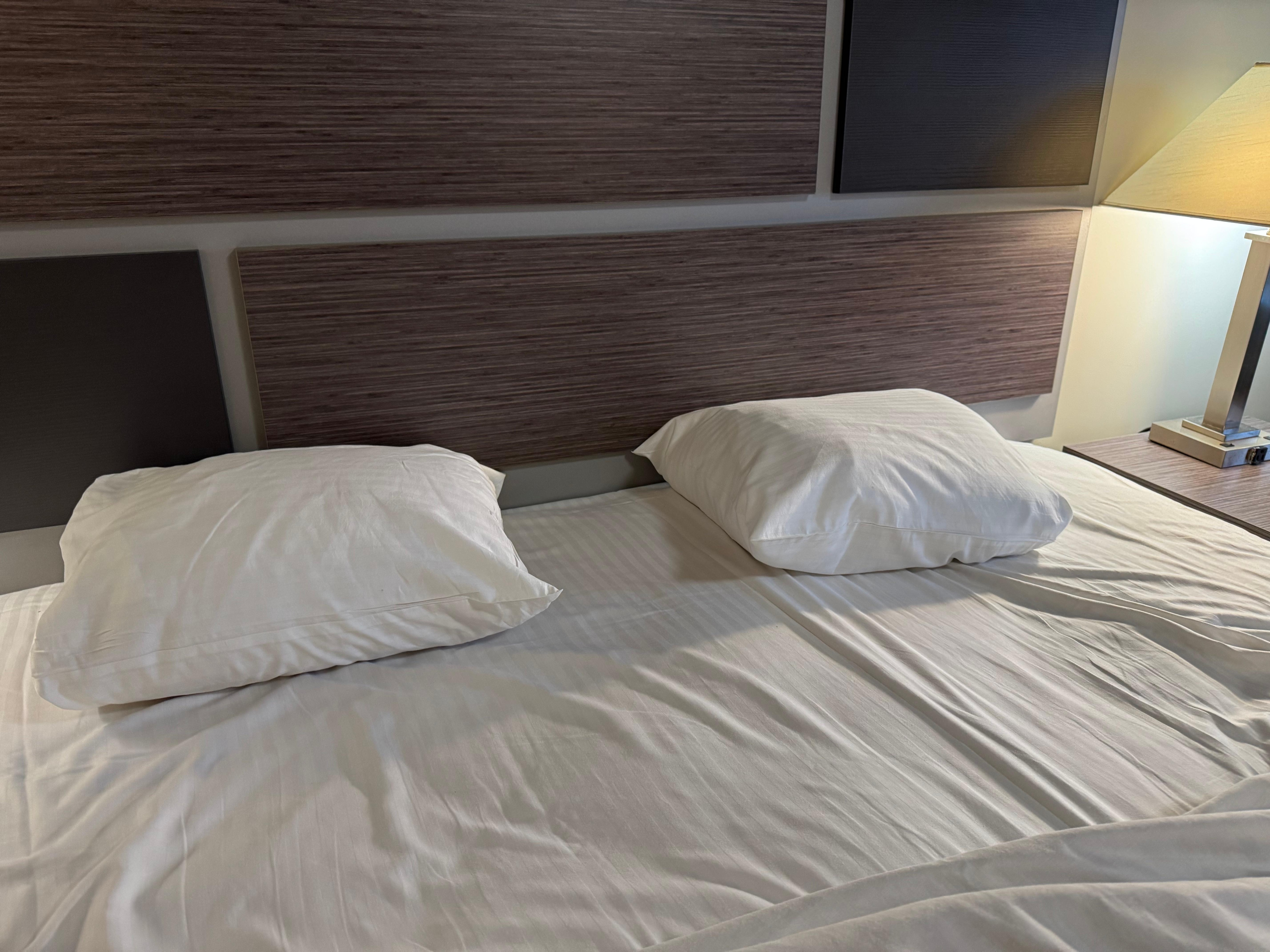 2 very small uncomfortable pillows.